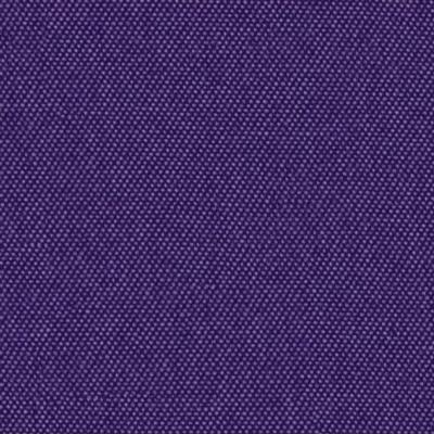 tetra violet